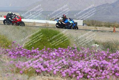 media/Feb-04-2023-SoCal Trackdays (Sat) [[8a776bf2c3]]/Turn 15 Inside Blooming (1050am)/